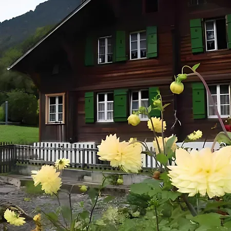 Apartment Haus In Luetschental Bei Grindelwald *